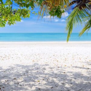 White sands