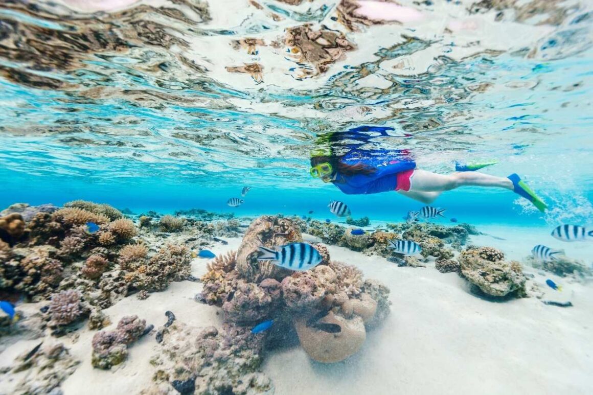 Snorkeling